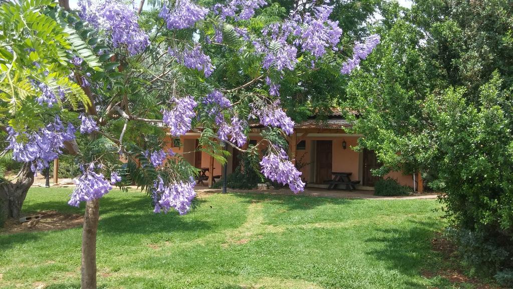 Kibbutz Moran Digital Nomads Village-Adults Only Exterior foto