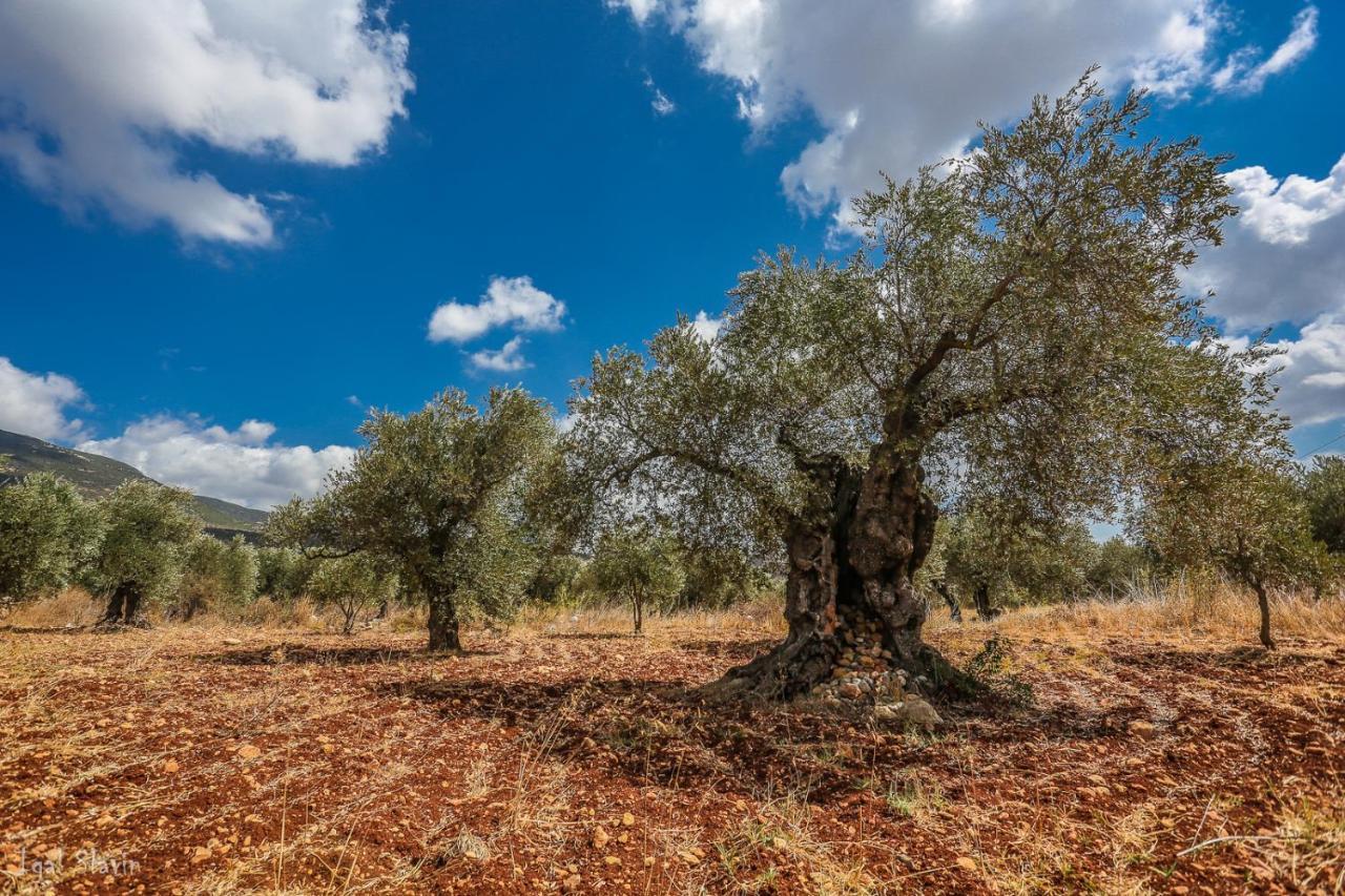 Kibbutz Moran Digital Nomads Village-Adults Only Exterior foto