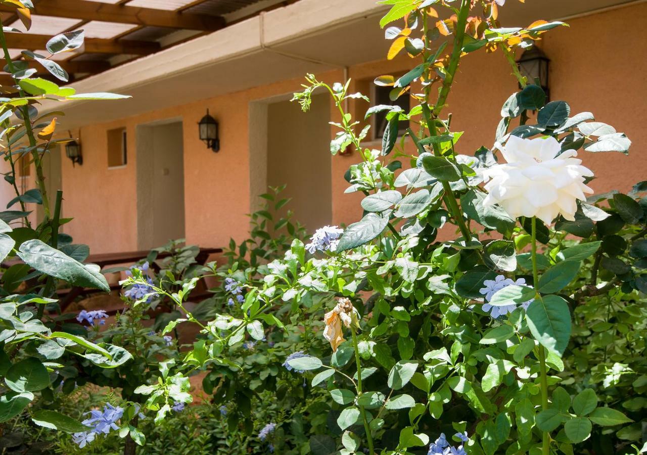 Kibbutz Moran Digital Nomads Village-Adults Only Exterior foto