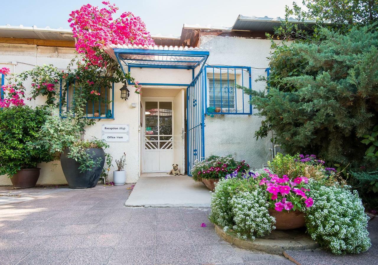 Kibbutz Moran Digital Nomads Village-Adults Only Exterior foto