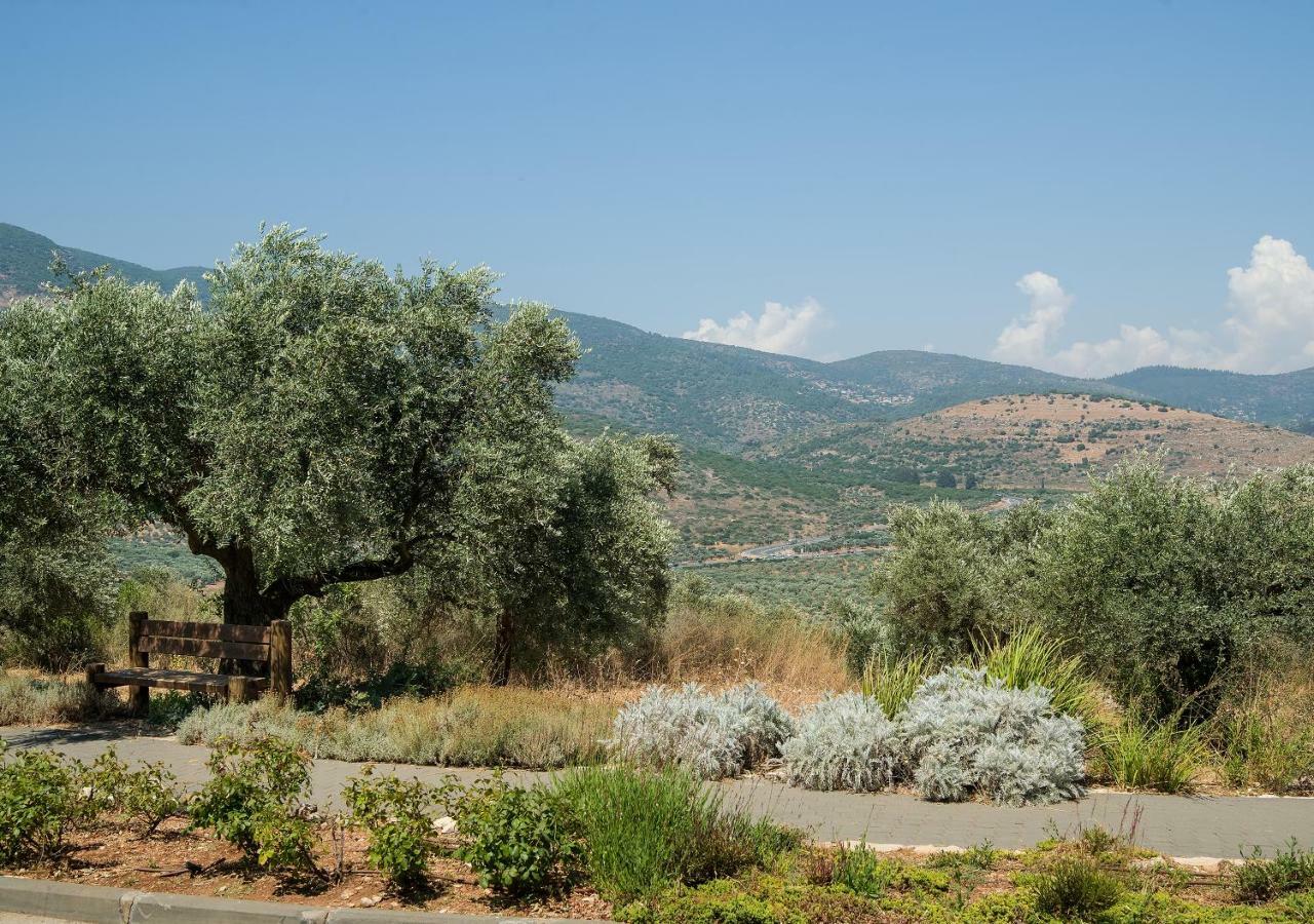 Kibbutz Moran Digital Nomads Village-Adults Only Exterior foto