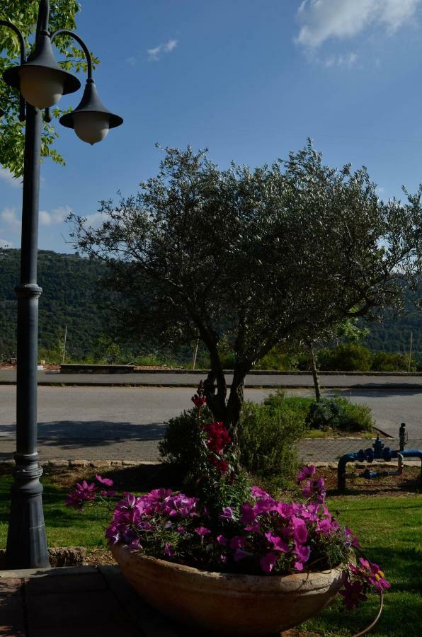 Kibbutz Moran Digital Nomads Village-Adults Only Exterior foto